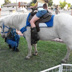 Meet your Posher, Robert